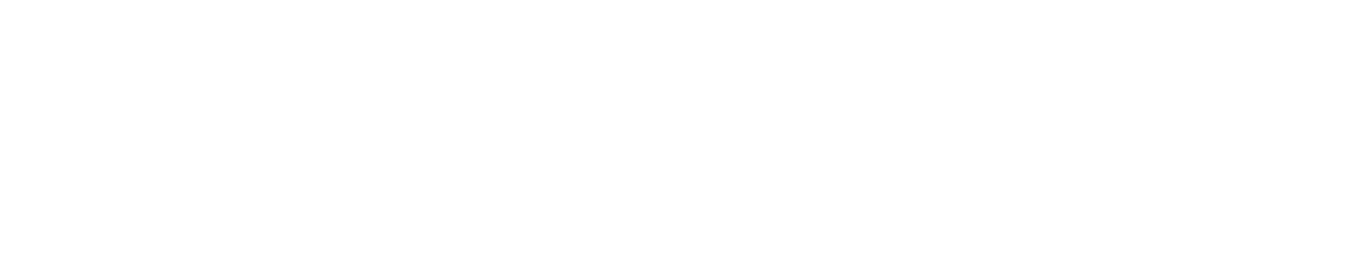 MZ drones